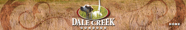 Dale Creek Banner