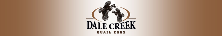 Dale Creek Quail Egg Banner